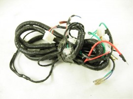 21 Wire harness for buggy...