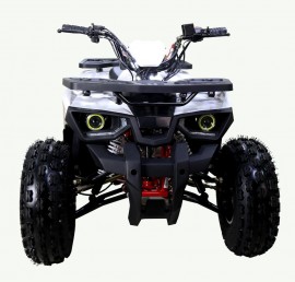 ATV TAO MOTORS - THE RAPTOR...