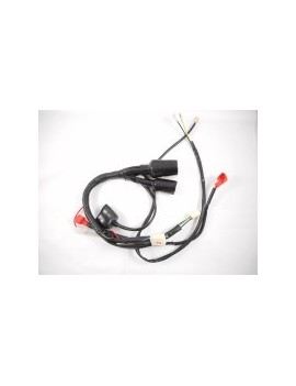 Wire harness for motocross with starter TAOTAO DB 10