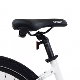 GOTRAX R4 500w....