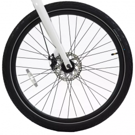 GOTRAX R4 500w....