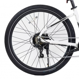 GOTRAX R4 500w....