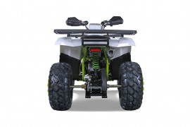 TAO MOTORS - RAPTOR 200cc ATV