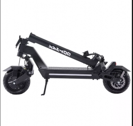 GOTRAX – GX1 2X 600W,...