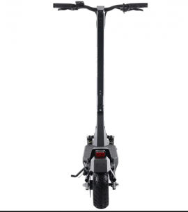 GOTRAX – GX1 2X 600W,...