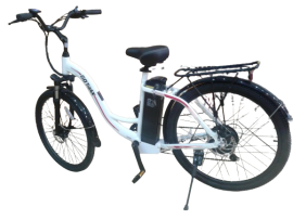 GOTRAX E06 500w 48v.-10Ah....