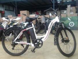 GOTRAX E06 500w 48v.-10Ah....
