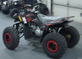 ATV TAO MOTORS THE REX 125cc AUTOMATIC