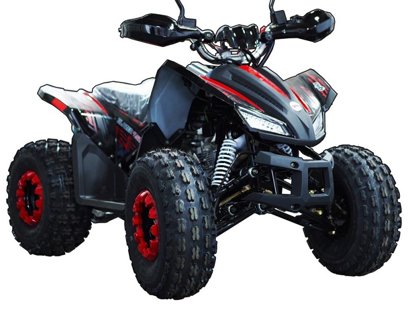 ATV TAO MOTORS THE REX...