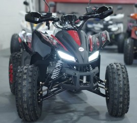 ATV TAO MOTORS THE REX...