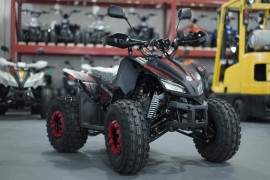 ATV TAO MOTORS THE REX...