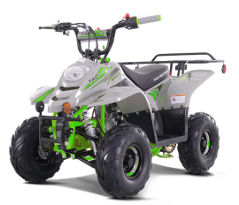 Atv TAOTAO 110cc  NEW...