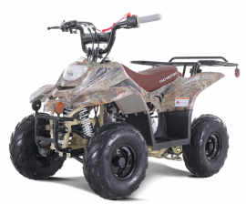 Atv TAOTAO 110cc  NEW...