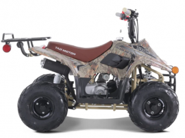 Atv TAOTAO 110cc  NEW...