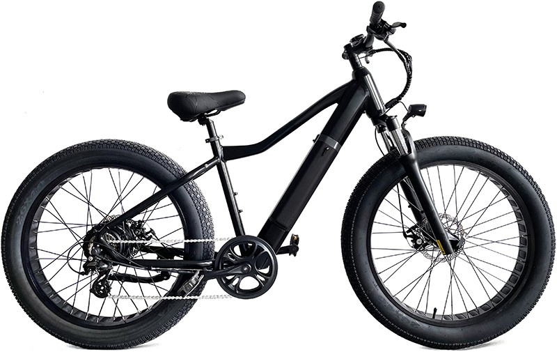 SHOK ATOMIK Velo electrique ECOBIKE LACHUTE