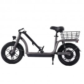 GOTRAX FLEX CAMPUS PRO 500W 48V-10Ah avec banc - Trottinette électrique