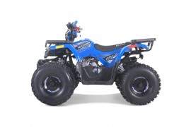 RAPTOR de Tao Motor - Automatique 120cc VTT à essence
