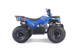 RAPTOR de Tao Motor -...