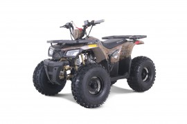 ATV TAO MOTORS - THE RAPTOR...