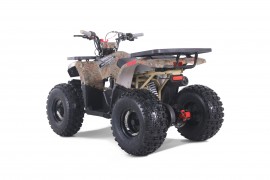 ATV TAO MOTORS - THE RAPTOR...