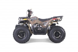 ATV TAO MOTORS - THE RAPTOR...