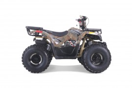 ATV TAO MOTORS - THE RAPTOR...