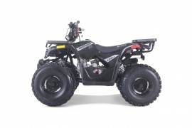 ATV TAO MOTORS - THE RAPTOR...