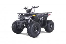 ATV TAO MOTORS - THE RAPTOR...