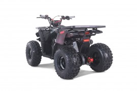 ATV TAO MOTORS - THE RAPTOR...