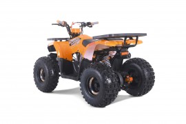 ATV TAO MOTORS - THE RAPTOR...