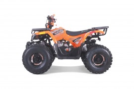 ATV TAO MOTORS - THE RAPTOR...