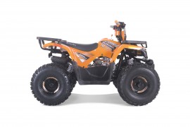 ATV TAO MOTORS - THE RAPTOR...