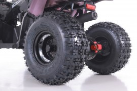 ATV TAO MOTORS - THE RAPTOR...