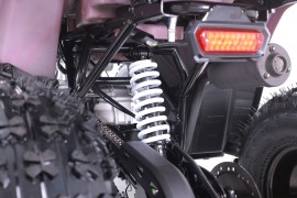 ATV TAO MOTORS - THE RAPTOR...