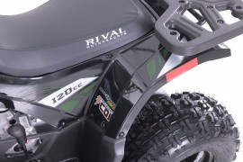 ATV TAO MOTORS - THE RAPTOR...