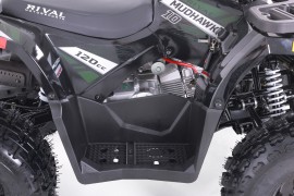 ATV TAO MOTORS - THE RAPTOR...