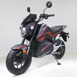 Electric scooter - SCORPION...