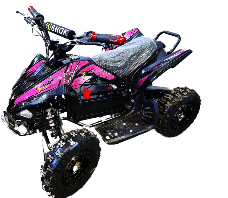 800w atv hotsell