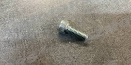 6 Bolt 8 x 20mm