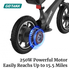 GOTRAX – V14 250w /...
