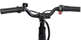 GOTRAX – V14 250w /...