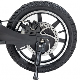 GOTRAX – V14 250w /...