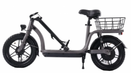 GOTRAX FLEX CAMPUS PRO 500W 48V-10Ah - Trottinette électrique