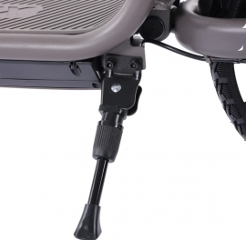 GOTRAX FLEX CAMPUS 350w 36V...