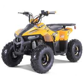ATV TAO MOTORS THE MUDHAWK...