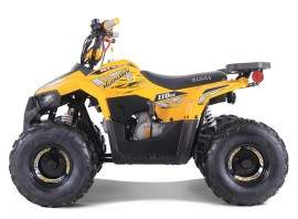 ATV TAO MOTORS THE MUDHAWK...