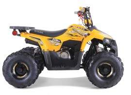 ATV TAO MOTORS THE MUDHAWK...