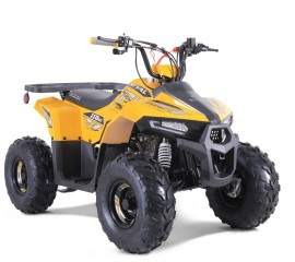 ATV TAO MOTORS THE MUDHAWK...