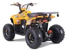 ATV TAO MOTORS THE MUDHAWK...