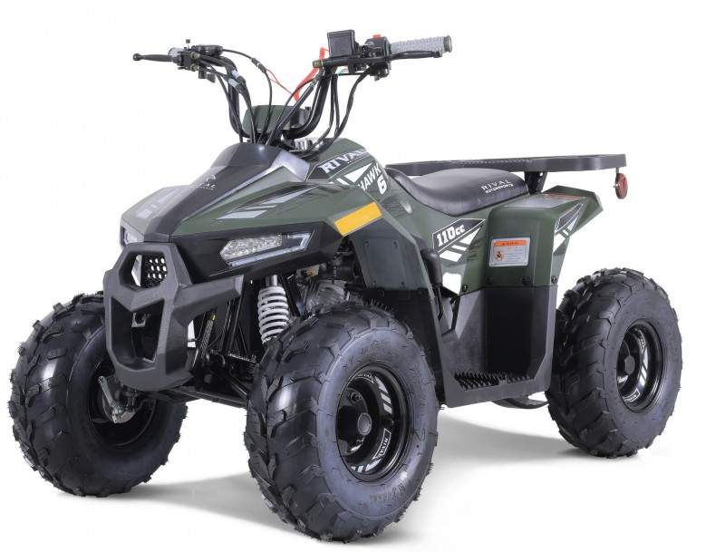 MUDHAWK 110cc de Tao Motor...